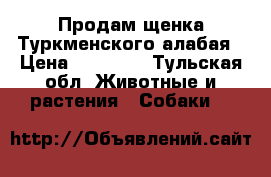 Продам щенка Туркменского алабая › Цена ­ 15 000 - Тульская обл. Животные и растения » Собаки   